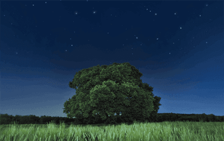 widget_clear_bg.png