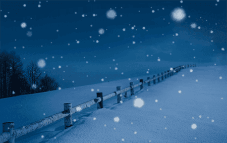widget_snow_night_bg.png