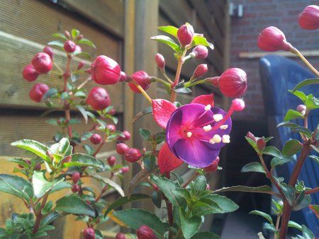 2011-05-25 09.19.15.jpg
