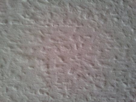 2011-06-02 10.49.53.jpg