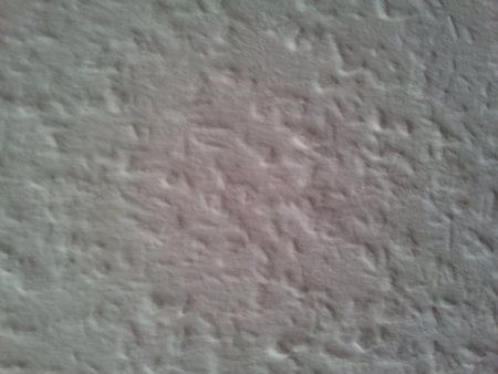 2011-06-02 11.18.56.jpg