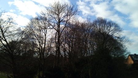 IMG_20141226_120303.jpg