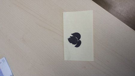 20150127_103225.jpg
