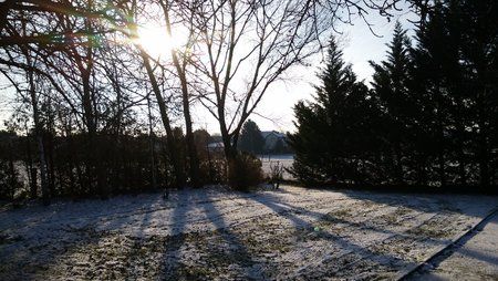 IMG_20141227_094232.jpg