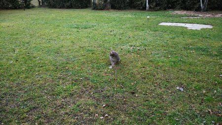 IMG_20150124_152025.jpg