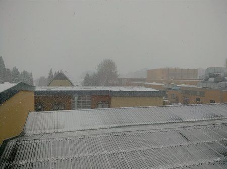 2015-01-30 10.56.14.jpg