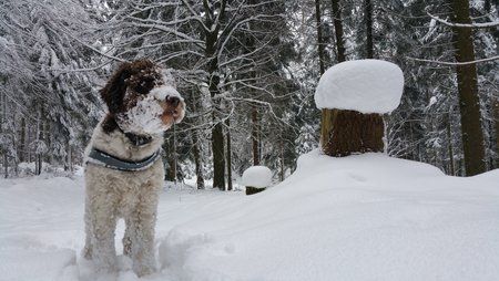 20150201_114234.jpg