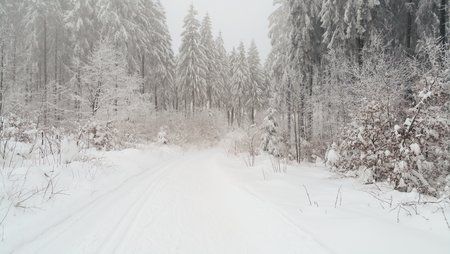 20150201_164637.jpg