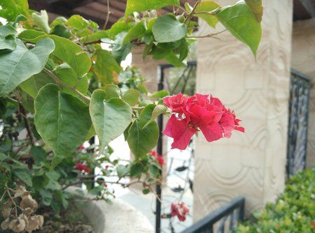 IMG_20150203_091727.jpg