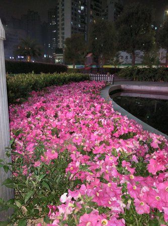IMG_20150203_225914.jpg