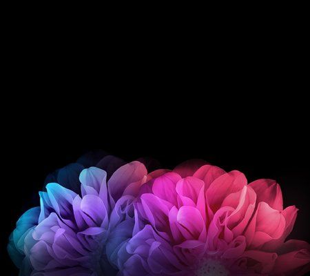 LG G Flex 2_Wallpaper_03.jpg