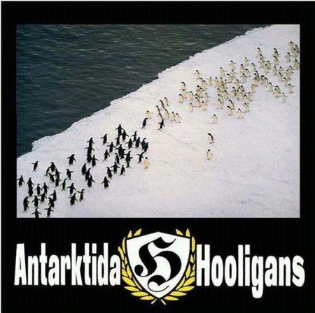 hools.jpg