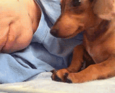 kuscheln.gif