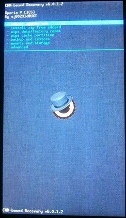 xperia_bug.jpg