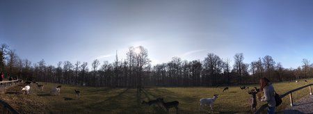 PANO_20150215_144344.jpg