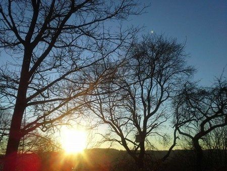 20150215_081153.jpg