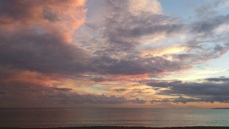 DSC_0207.jpg