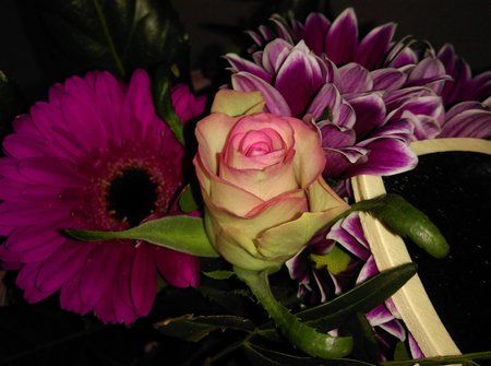 IMG_20150214_132033.jpg
