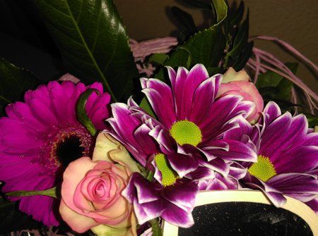 IMG_20150214_132049.jpg