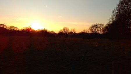 IMG_20150222_171419.jpg