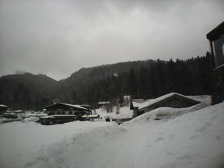 IMG0006A.jpg IMG0006A.jpg