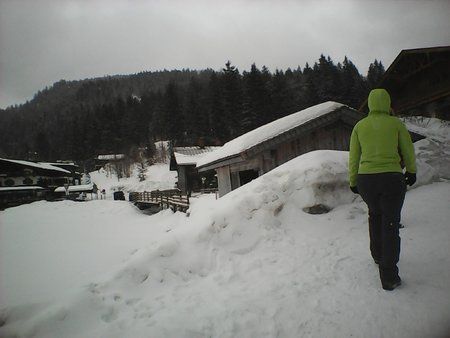 IMG0007A.jpg IMG0007A.jpg