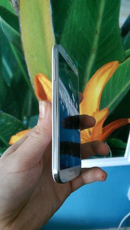IMAG0341.jpg