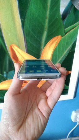 IMAG0343.jpg