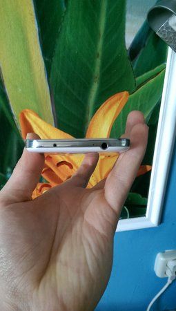 IMAG0344.jpg