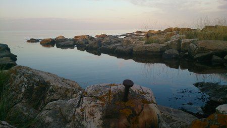 DSC_0060.jpg