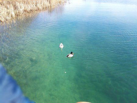 IMG_20150308_125247.jpg