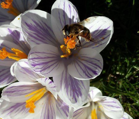 Frühling 2015.jpg