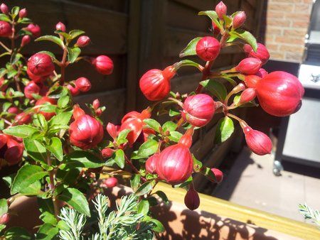 2011-06-02 15.40.40.jpg