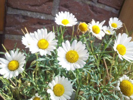 2011-06-02 15.41.48.jpg