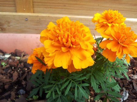 2011-06-02 15.43.07.jpg