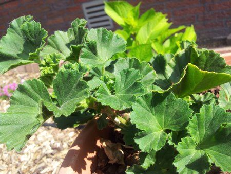 2011-06-02 15.44.52.jpg