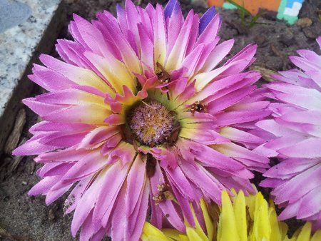 2011-06-02 15.45.39.jpg