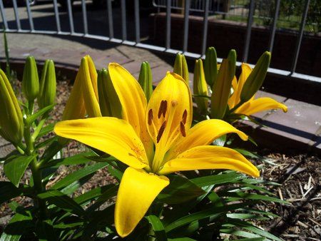 2011-06-04 12.09.37.jpg