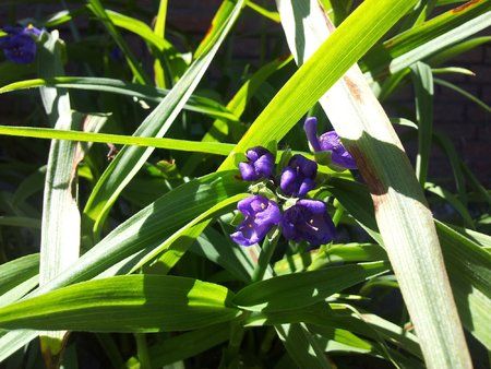2011-06-04 12.12.24.jpg