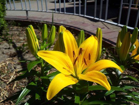 2011-06-04 12.10.11.jpg