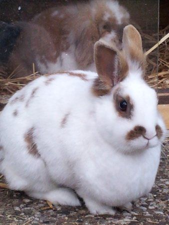2011-05-29 21.02.23.jpg