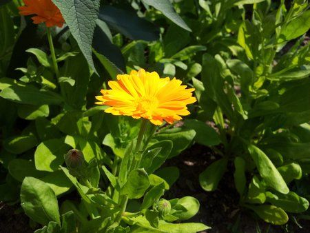 2011-06-05 11.01.05.jpg