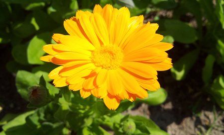 2011-06-05 11.06.59.jpg