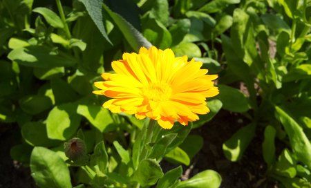2011-06-05 11.10.11.jpg