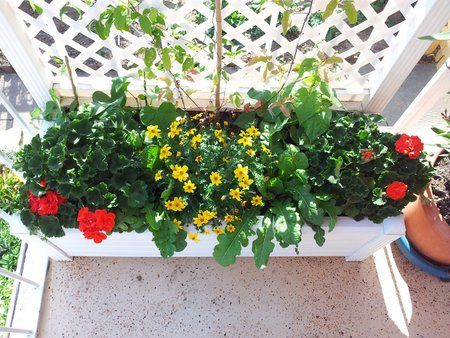 2011-06-01 17.00.12.jpg