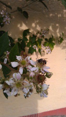 IMAG0008.jpg