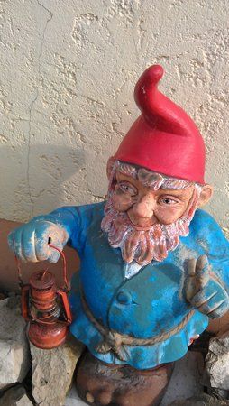 IMAG0007.jpg