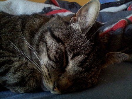 2011-06-10 09.18.53.jpg