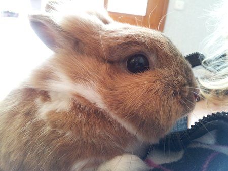 2011-06-10 15.43.02.jpg
