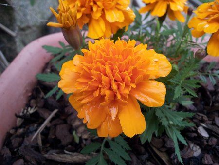 2011-06-07 11.11.25.jpg